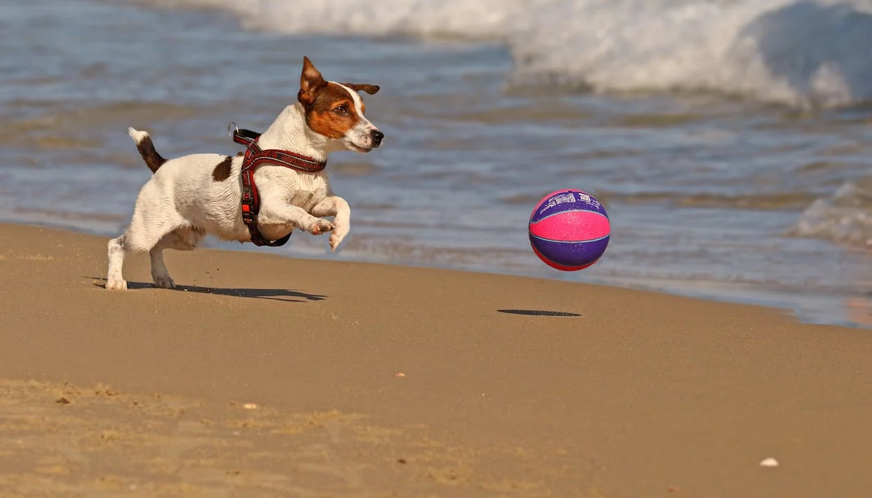 Large Ball