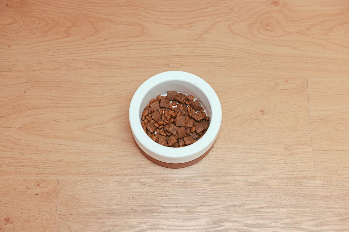 Ceramic Bowl