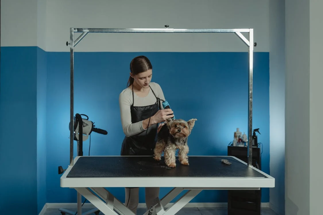 Dog Grooming Razor