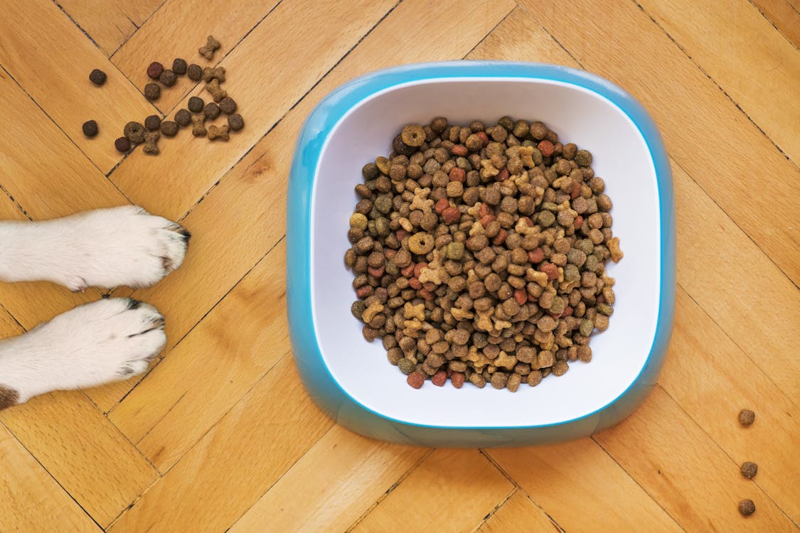 Mixed Dry Dog Food