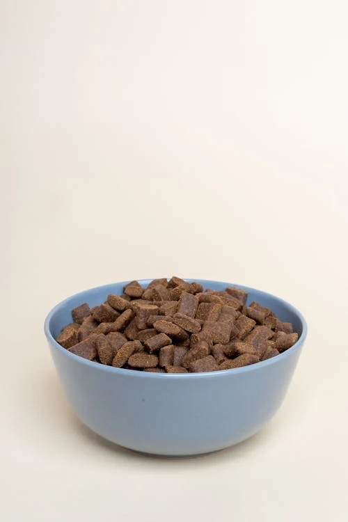 Premium Dry Dog Food