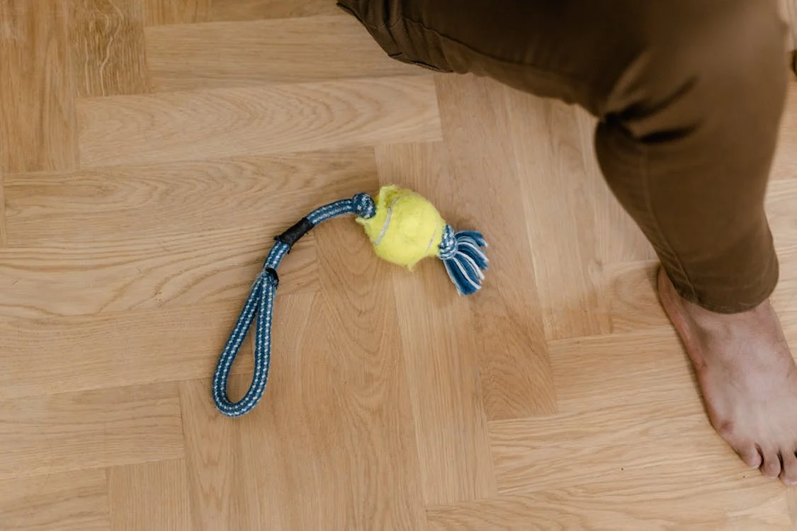 Rope Toy