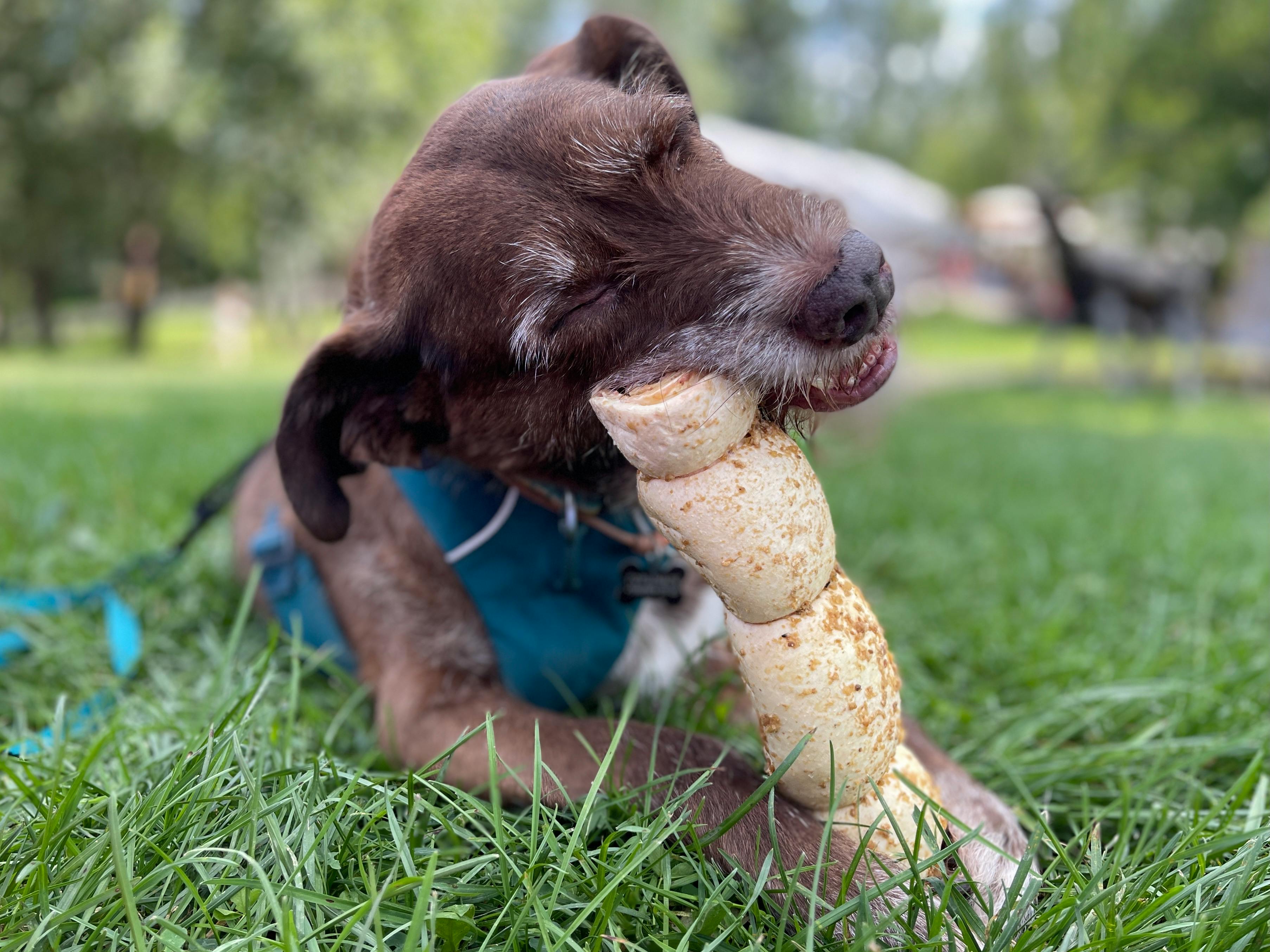 Large Bone Treat