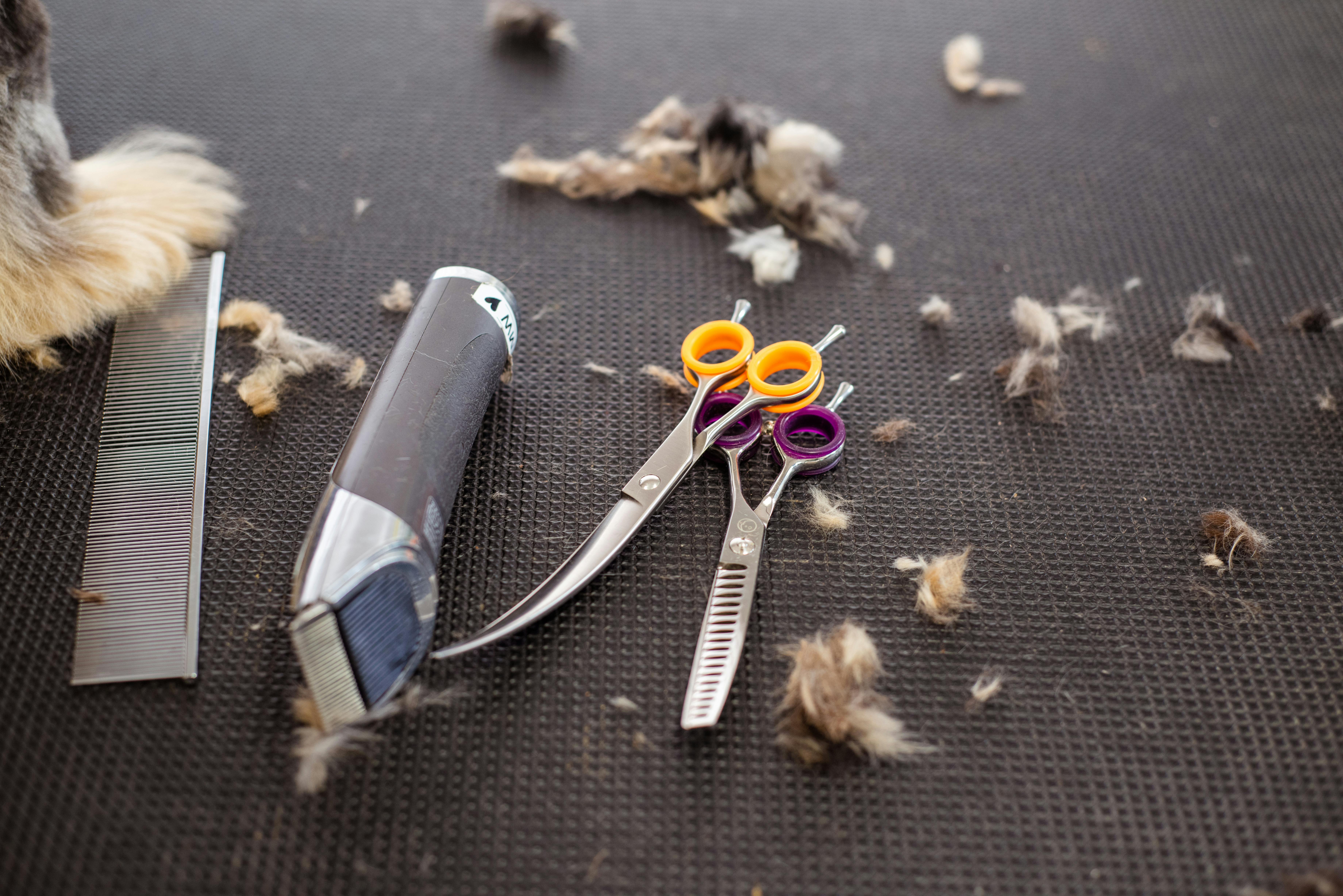 Grooming Kit
